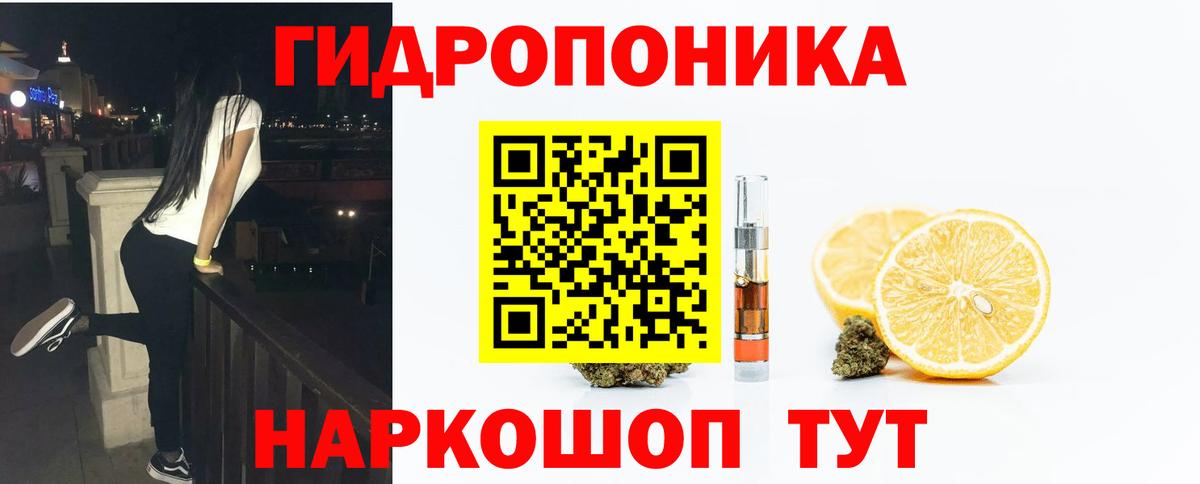 Каннабис OG Kush  Вход с VPN  Шишки марихуана план  Канабис сатива  Каннабис LSD WEED  Донской 